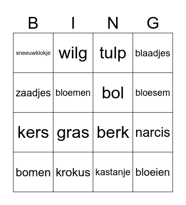 Lente - bloemen en bomen Bingo Card