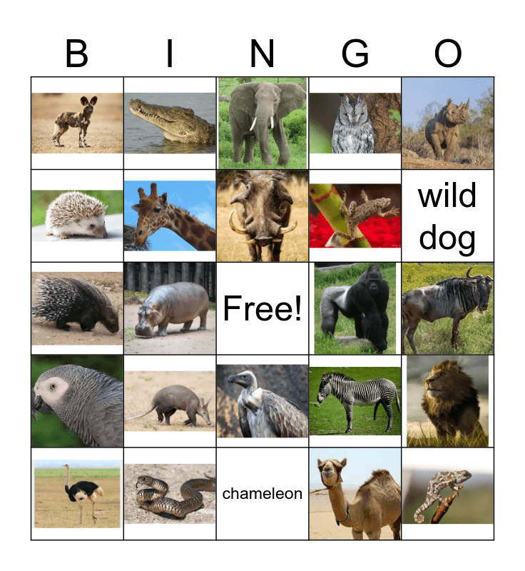 AFRICAN ANIMALS Bingo Card