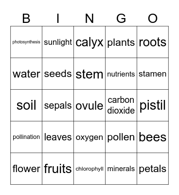 Plants! Bingo Card