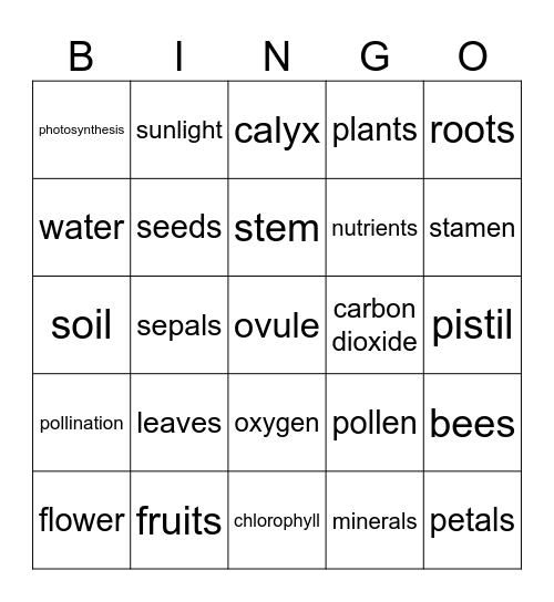 Plants! Bingo Card