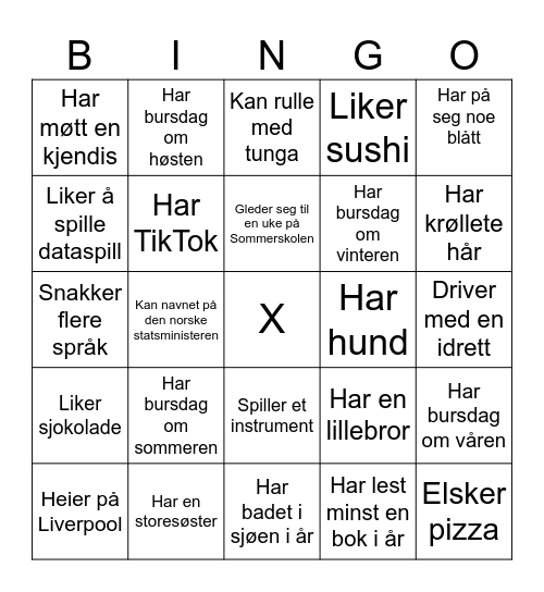 Sommerskolen Bingo Card