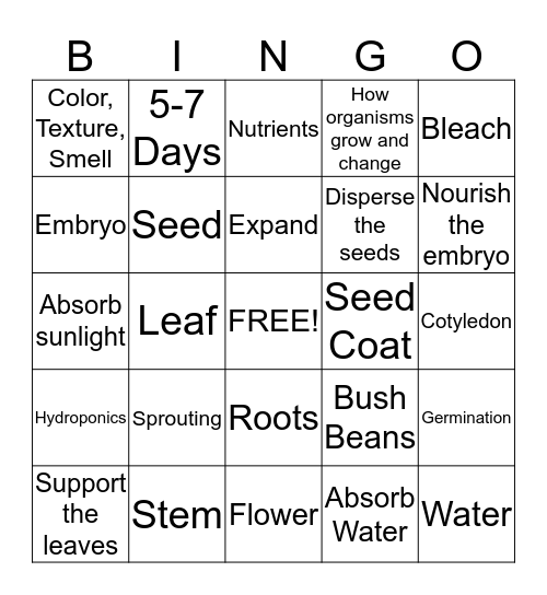 Life Cycle of Plant Review Bingo Card