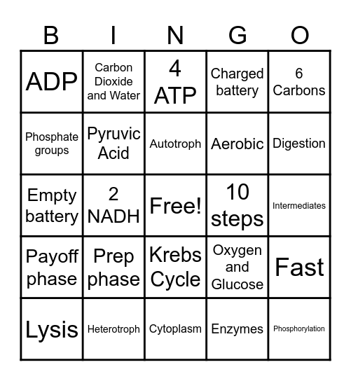 Glycolysis Bingo Card