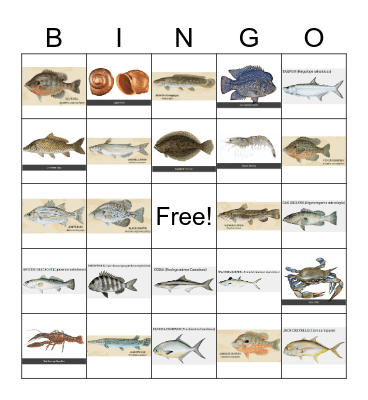 Louisiana Fish Bingo Card