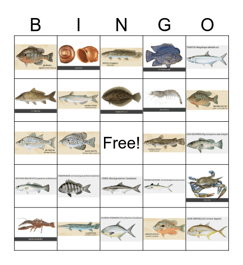 Louisiana Fish Bingo Card