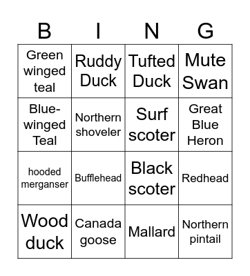Michigan Waterfowl Bingo Card