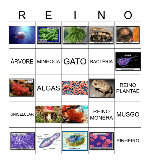 BINGO 5 REINOS Bingo Card
