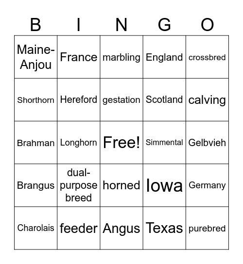 Intro to Beef Bingo Card