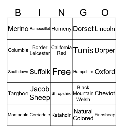 Sheep Breeds Bingo Card