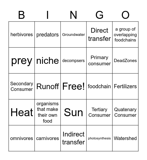 Food Web Bingo Card