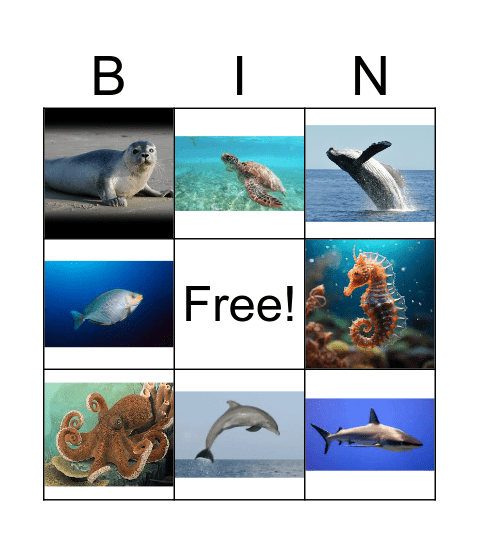 in the ocean bingo Card