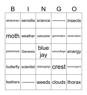 Spelling Bee List 41-80 Bingo Card