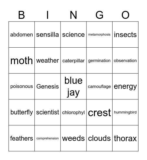 Spelling Bee List 41-80 Bingo Card