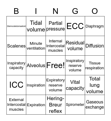 Respiratory System Bingo Card