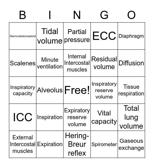 Respiratory System Bingo Card