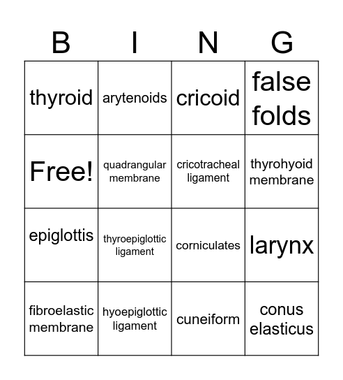 laryngeal cartilage & extrinsic & intrinsic ligaments/ membranes Bingo Card