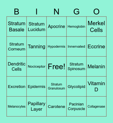 Integumentary Bingo Card