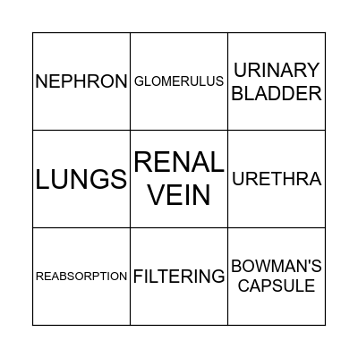Excretory System Bingo Card
