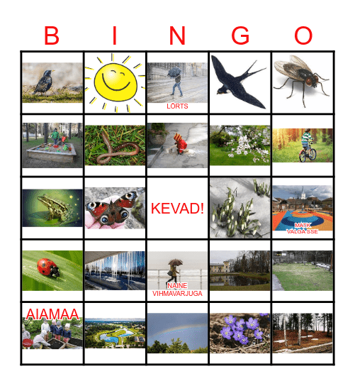 KEVAD Bingo Card