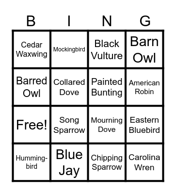 NATIVE BIRD BINGO Card