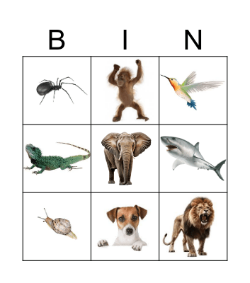 Animals Bingo Card