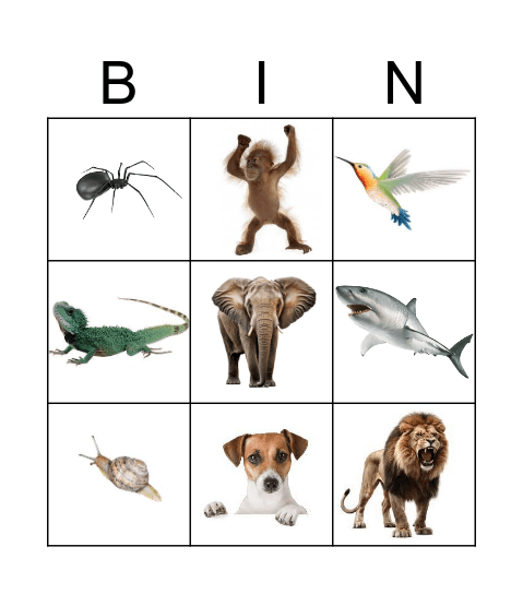 Animals Bingo Card