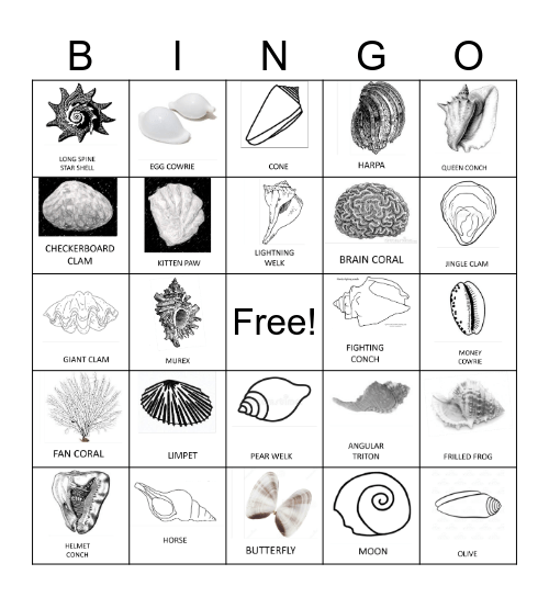 Bahamas Bingo Card