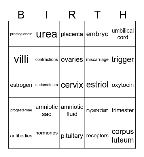 Pregnancy & Birth Bingo Card
