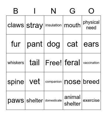 BINGO Card