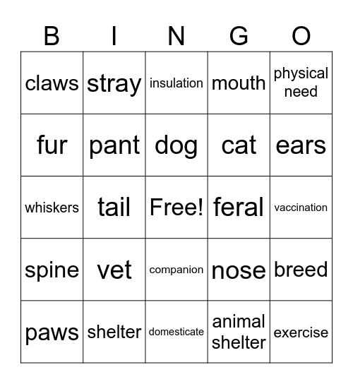BINGO Card