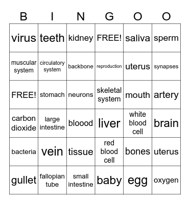 BINGO - HUMAN BODY Bingo Card