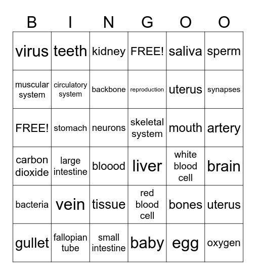 BINGO - HUMAN BODY Bingo Card
