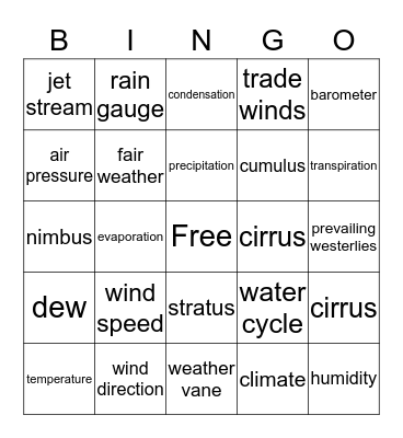 Weather/Water Cycle Bingo Card
