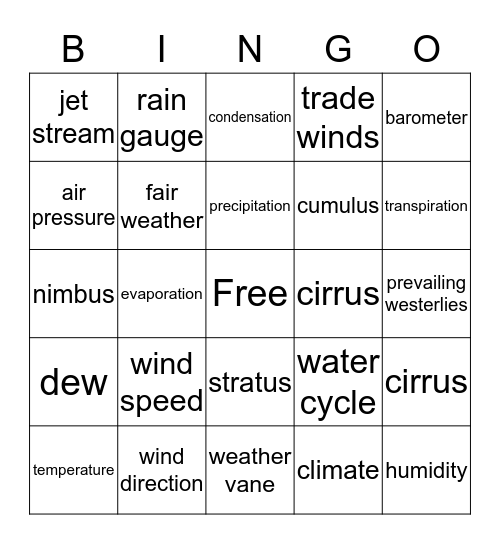 Weather/Water Cycle Bingo Card