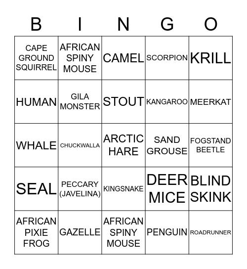 COOL ANIMAL ADAPTATIONS Bingo Card