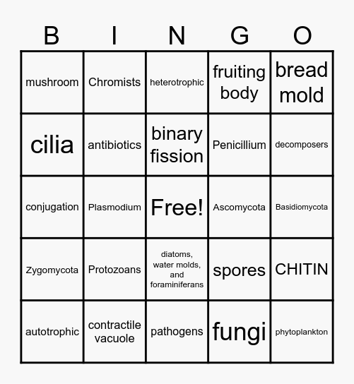 Fungi  Protista Bingo Card