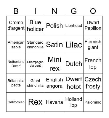 Rabbit Breed Bingo Card