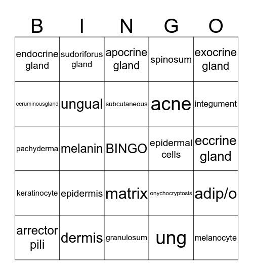 Integumentary System Bingo Card