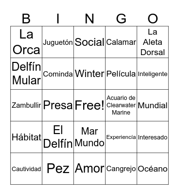 Los Delfínes Bingo Card