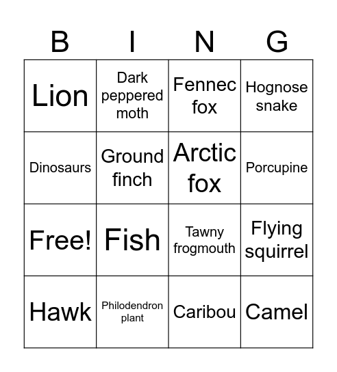 ADAPTATION Bingo Card