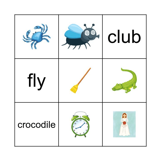 Phonics 4 - Unit 1 Bingo Card