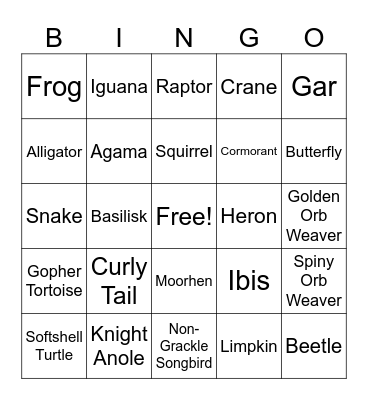 Florida Wildlife Bingo Card