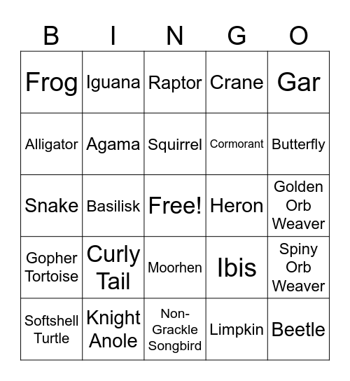 Florida Wildlife Bingo Card