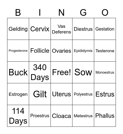 Repro Bingo Card
