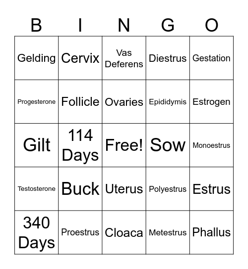 Repro Bingo Card