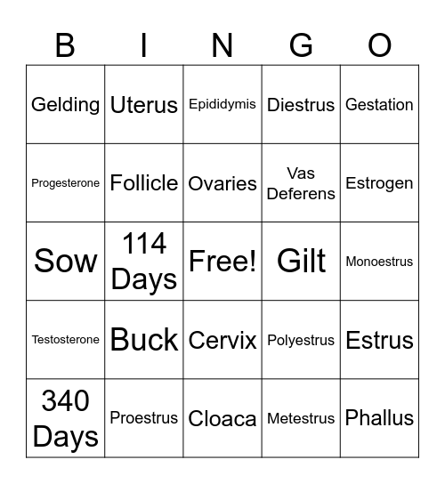 Repro Bingo Card
