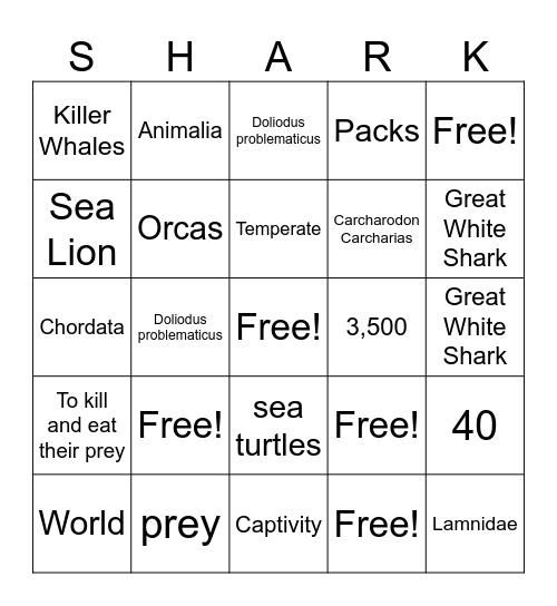 Great White Shark Bingo Card