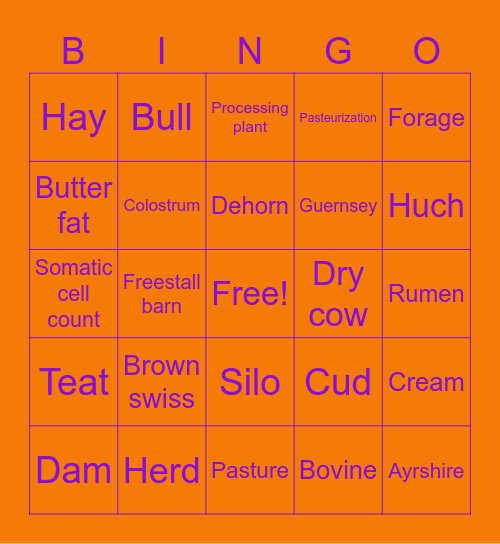 Dairy Bingo Card