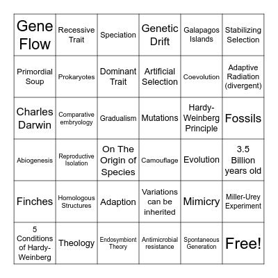 Chapter 15 BINGO Card