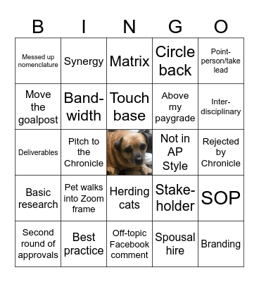 Thank you for looping me in! Bingo Card